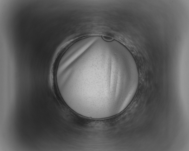 X0000101990294200808011107