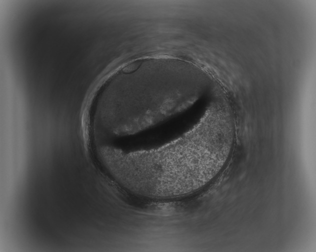 X0000101990295200808011107