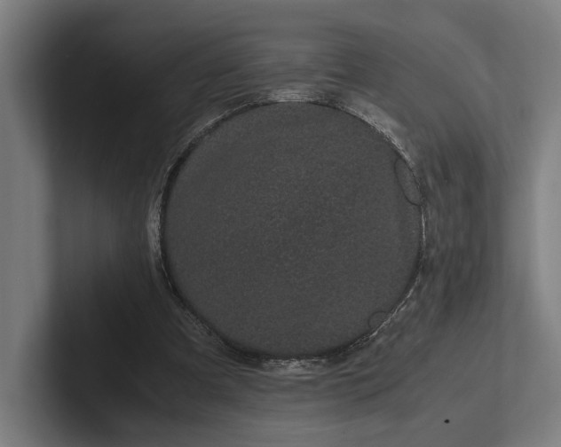 X0000101990297200808011107