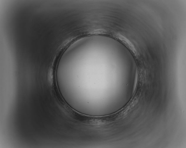 X0000101990298200808011107