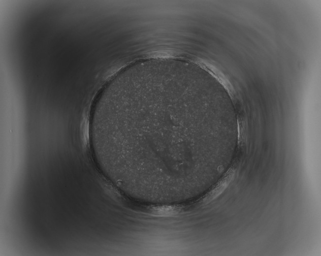 X0000101990301200808011106