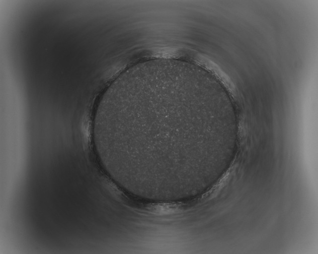 X0000101990305200808011106