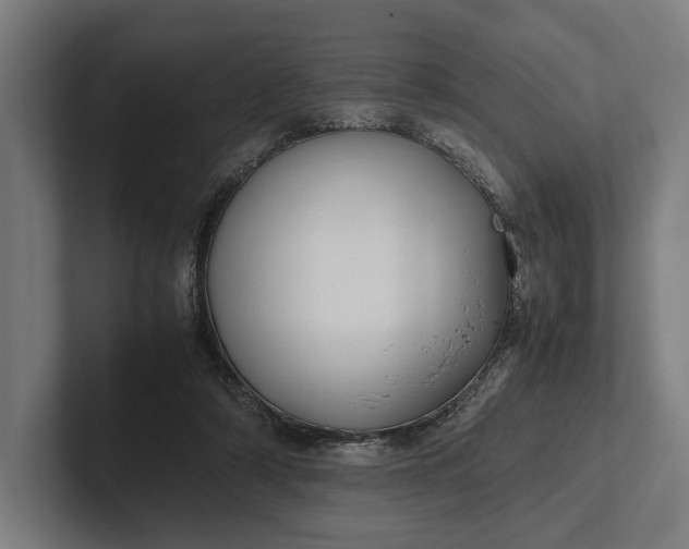 X0000101990306200808011106