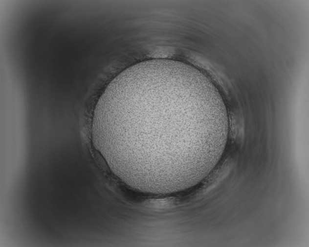 X0000101990307200808011106