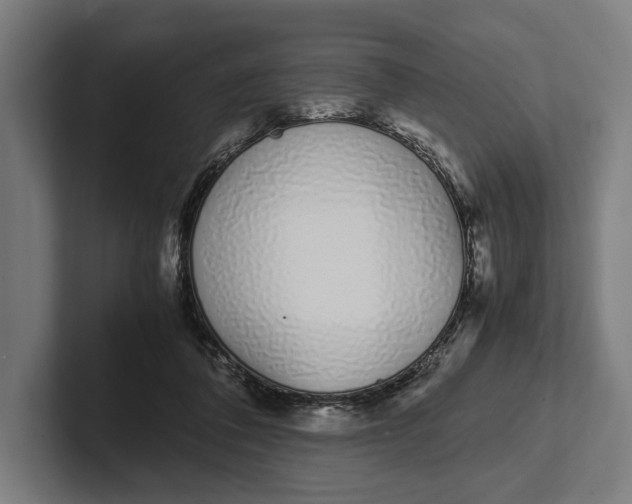 X0000101990308200808011106