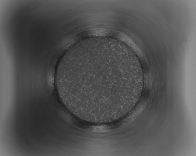 X0000101990309200808011106