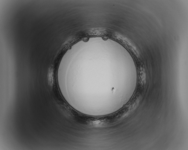 X0000101990312200808011106