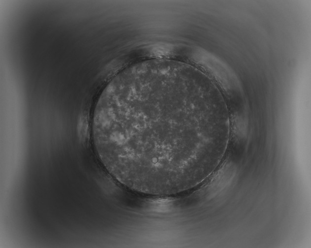 X0000101990313200808011106