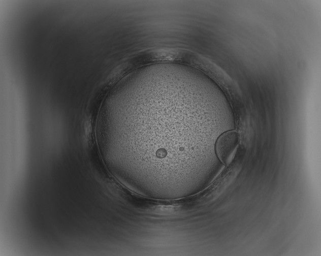 X0000101990314200808011106