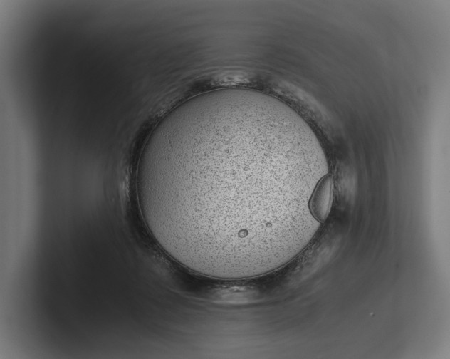 X0000101990315200808011106