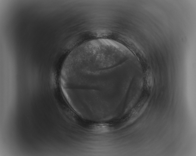 X0000101990316200808011106