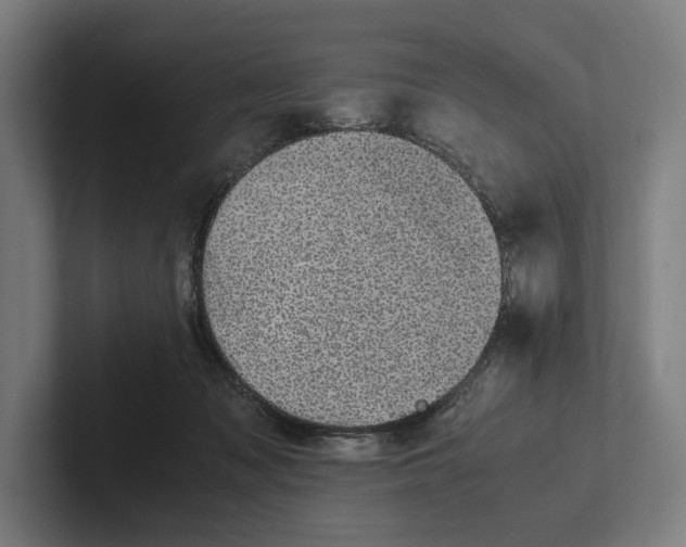 X0000101990317200808011106