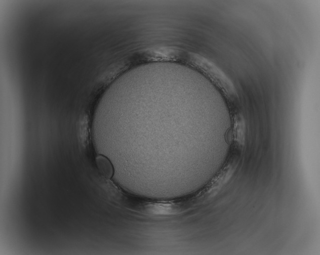 X0000101990318200808011106