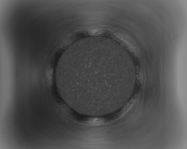 X0000101990319200808011106