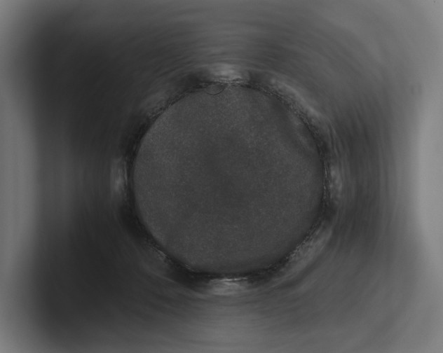 X0000101990320200808011106