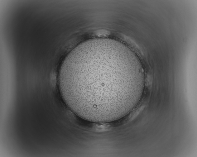 X0000101990321200808011106