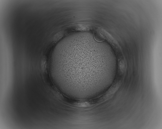 X0000101990322200808011106