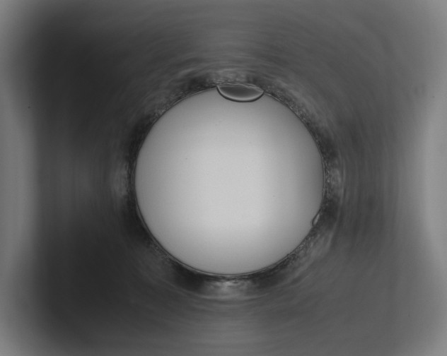 X0000101990323200808011106