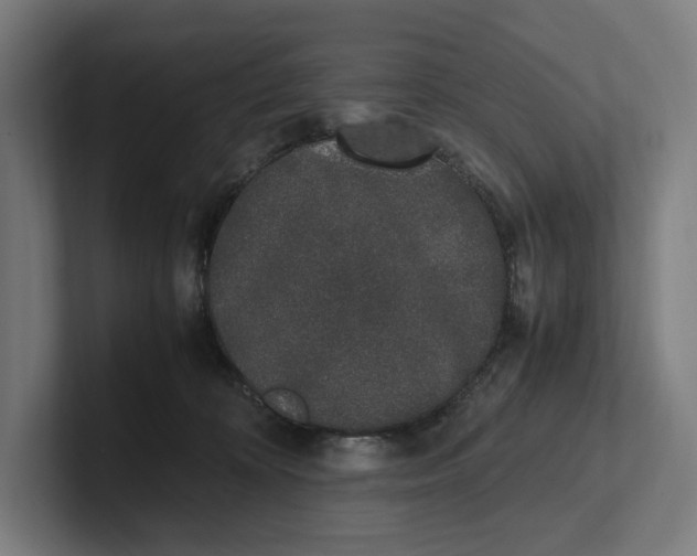 X0000101990324200808011106