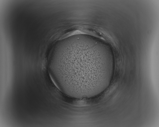 X0000101990325200808011106