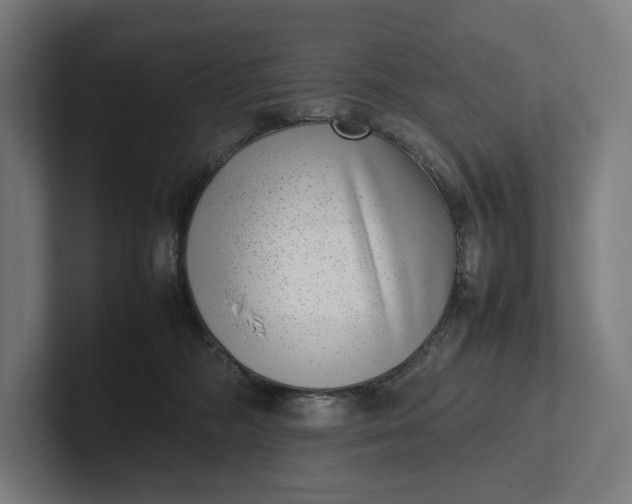 X0000101990326200808011106