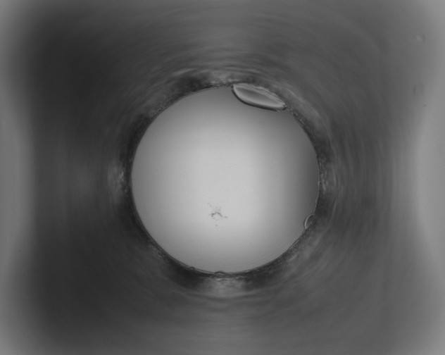 X0000101990327200808011106