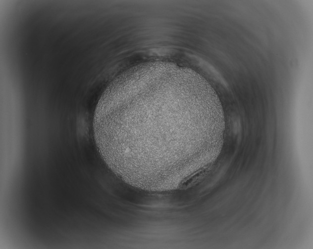 X0000101990328200808011106