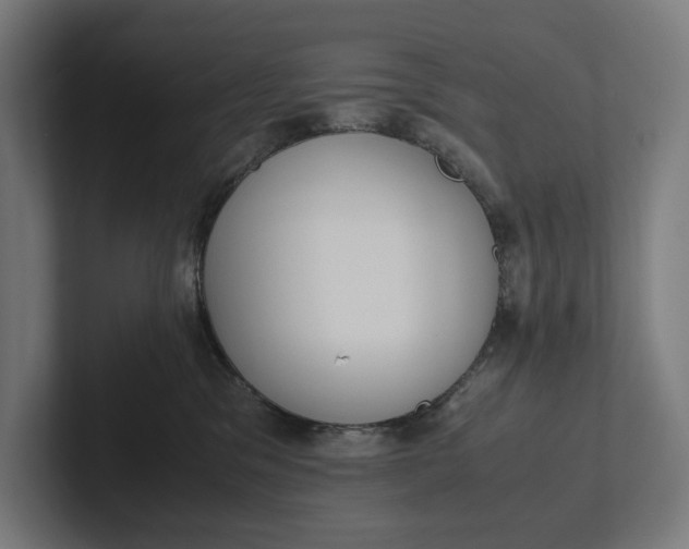 X0000101990329200808011106