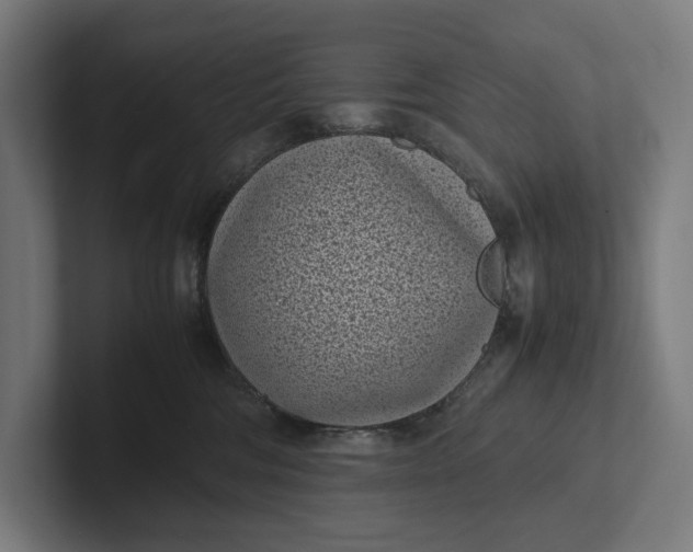 X0000101990330200808011106