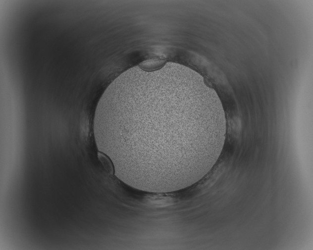 X0000101990331200808011106