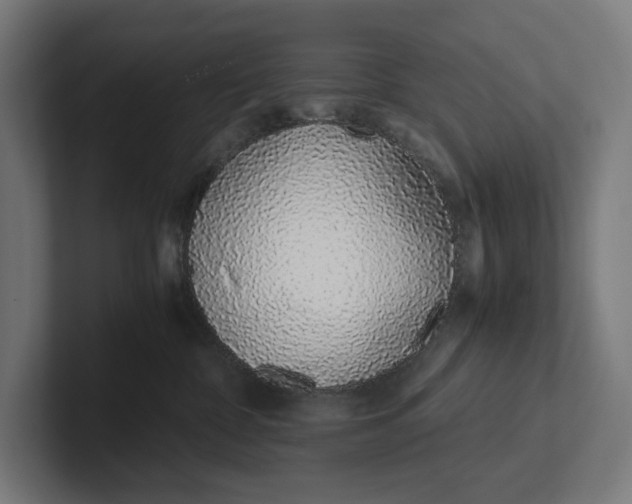 X0000101990332200808011106