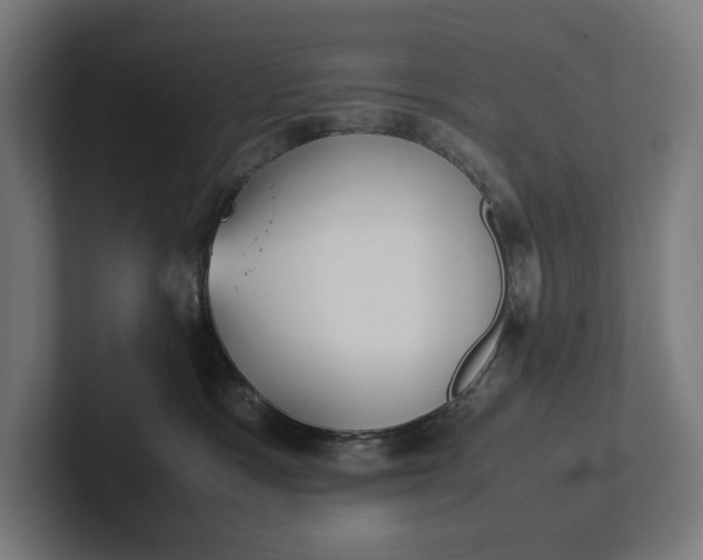 X0000101990333200808011106