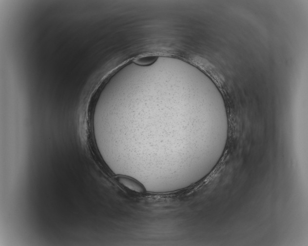 X0000101990338200808011105