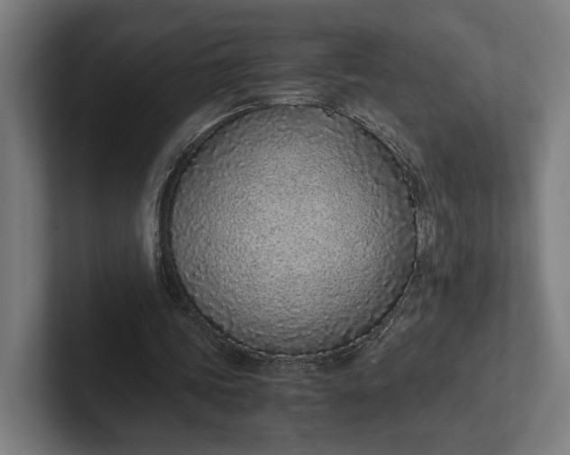 X0000101990339200808011105