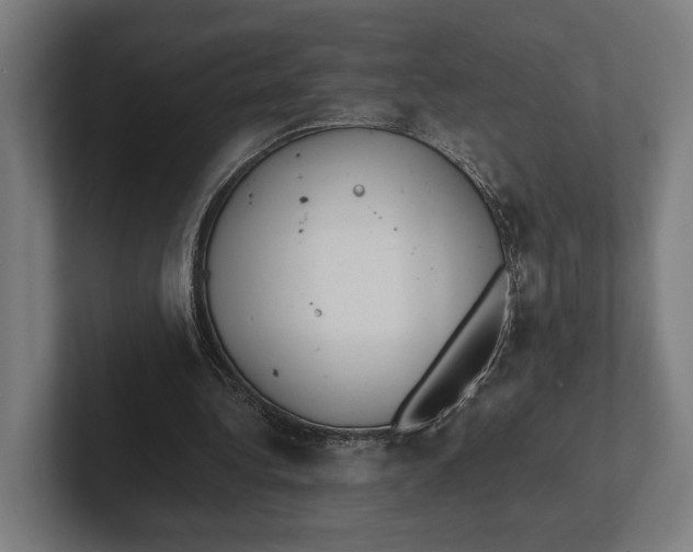 X0000101990340200808011105