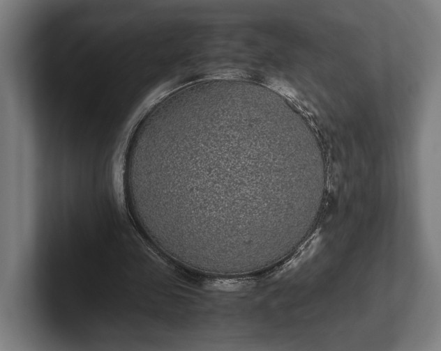 X0000101990341200808011105