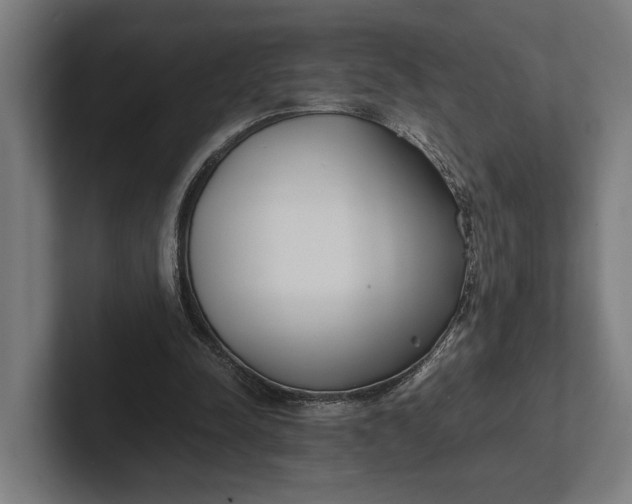 X0000101990342200808011105