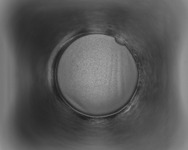 X0000101990343200808011105