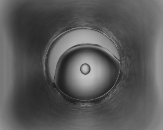 X0000101990344200808011105