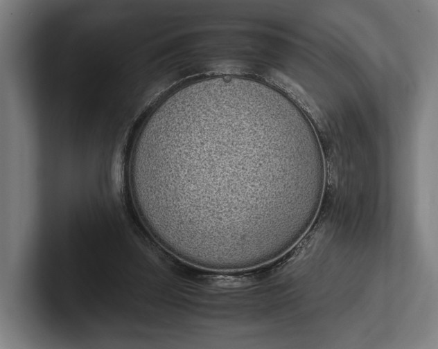 X0000101990347200808011106