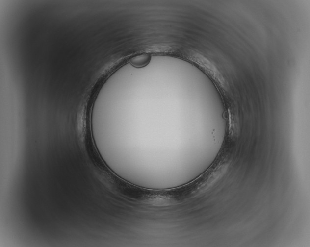 X0000101990348200808011106