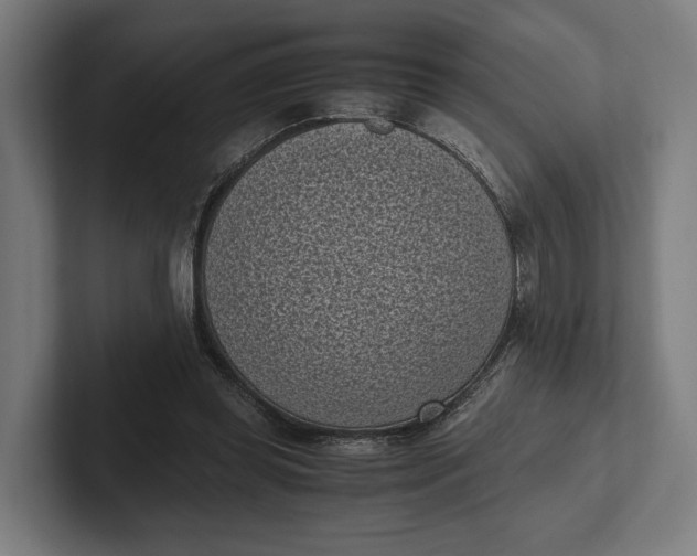 X0000101990349200808011106