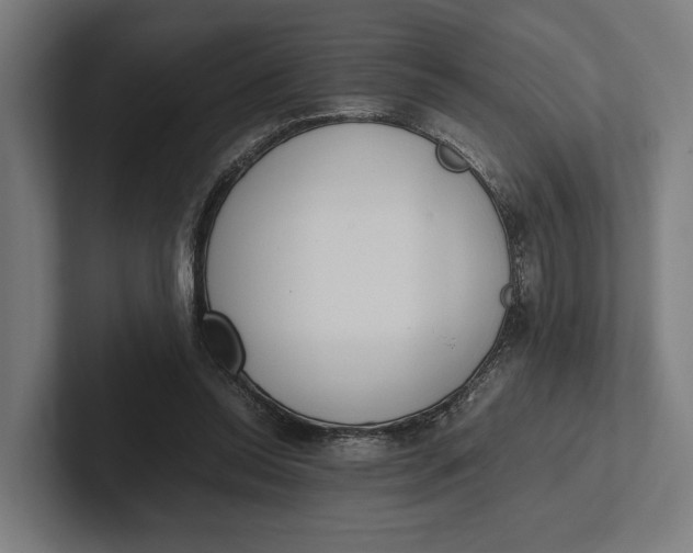 X0000101990350200808011106