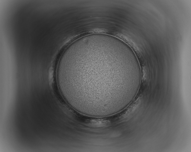 X0000101990351200808011106