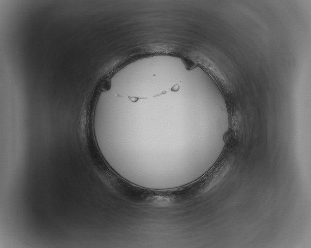 X0000101990352200808011106