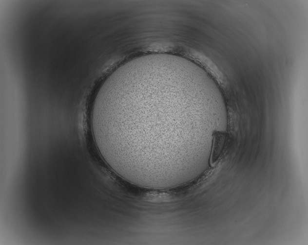 X0000101990354200808011106