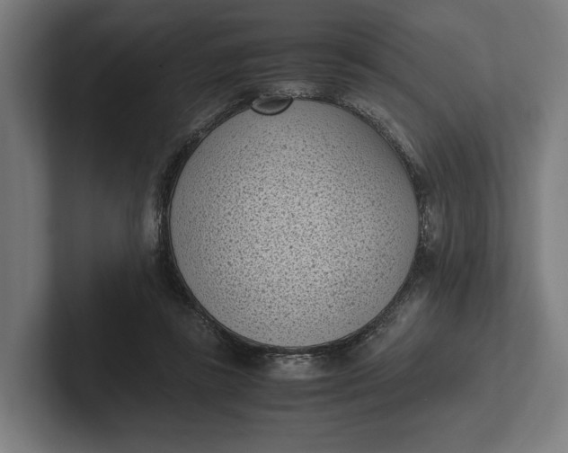 X0000101990355200808011106