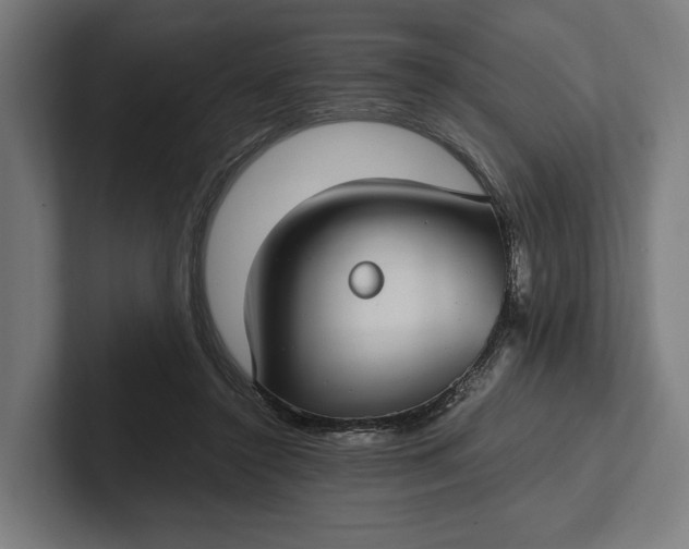 X0000101990356200808011106