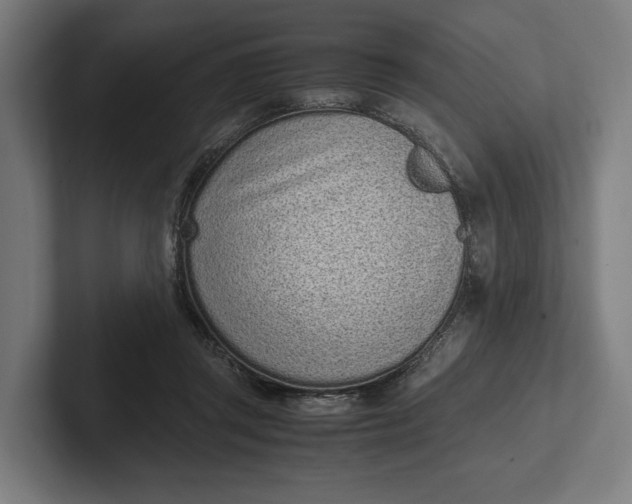 X0000101990357200808011106