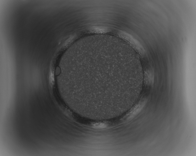 X0000101990358200808011106